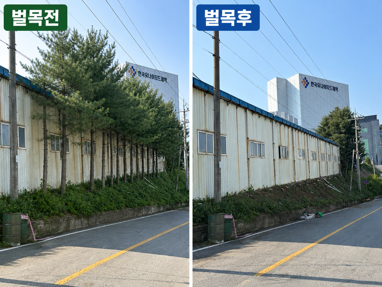 토지 및 임야 벌목